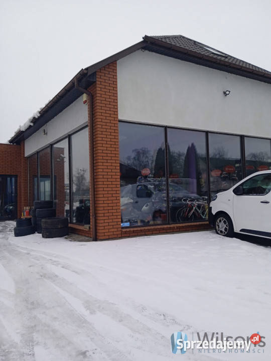 Lokal 210m2 Wsola Stawna handlowo-usługowy Wynajem sprzedam