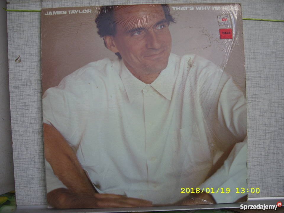 Rock LP JAMES TAYLORTHATS WHY IN HERE Canada Wołów