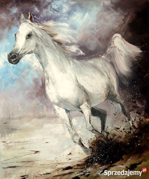 Obraz olejny 50x60 koń Kraków