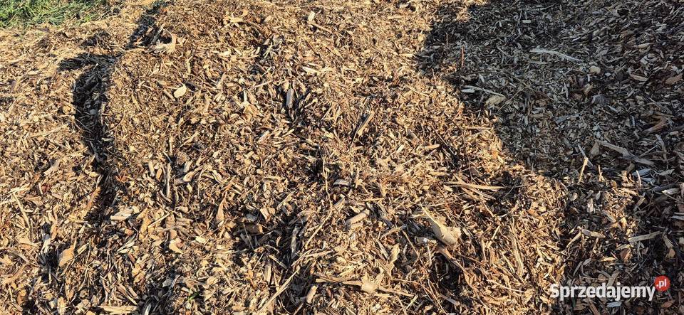 Zrębki mieszane biomasa