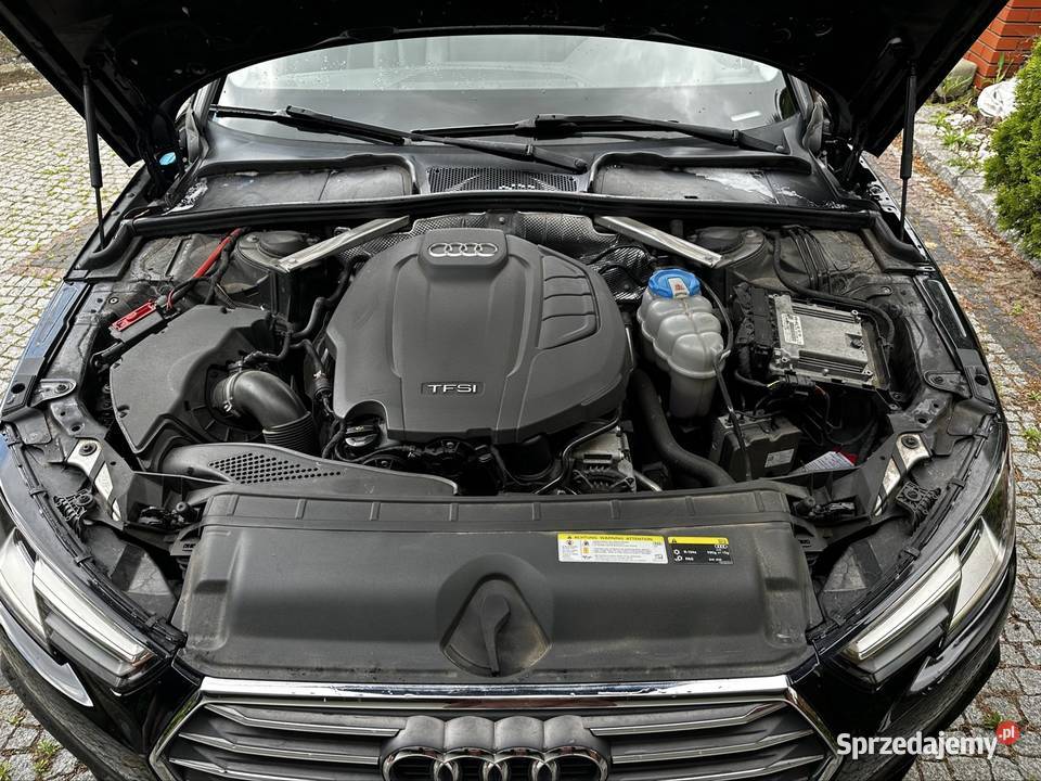 Audi a4 b9 ultra premium sline Łapy