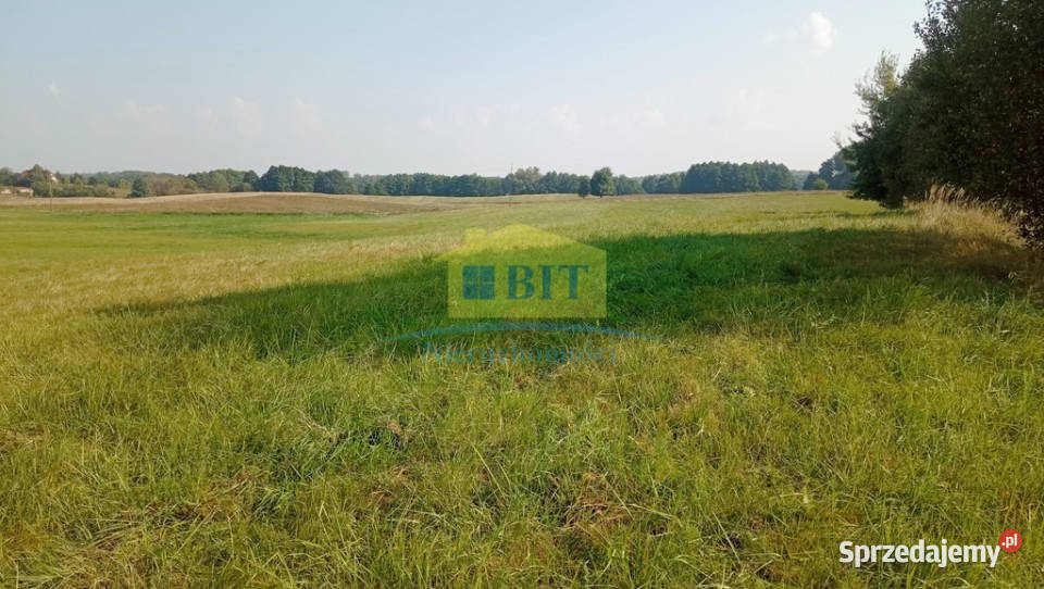Działka budowlana 584 ha 250m jez Drawsko Sprzedaż Warniłęg