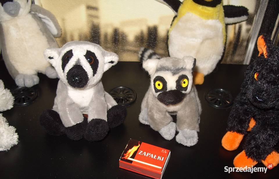 2 Lemurki Piesek2 Kotki2 PingwinyZestaw Rawicz
