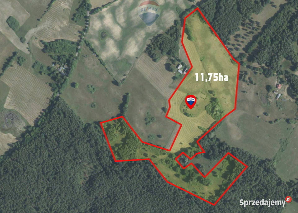 Na przedaż kompleks działek 146500m2 Nowe Worowo zachodniopomorskie sprzedam