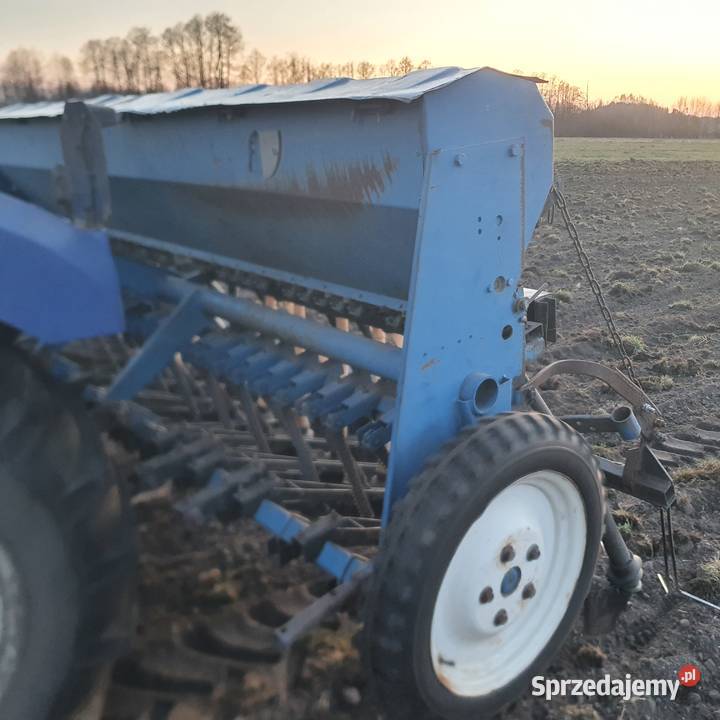 Siewnik poznaniak Skępe