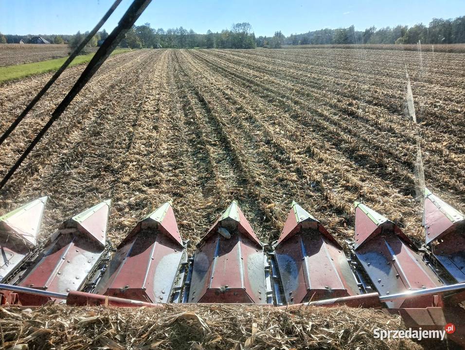 Przystawka do kukurydzy Olimac Drago 2 str Sochaczew sprzedam