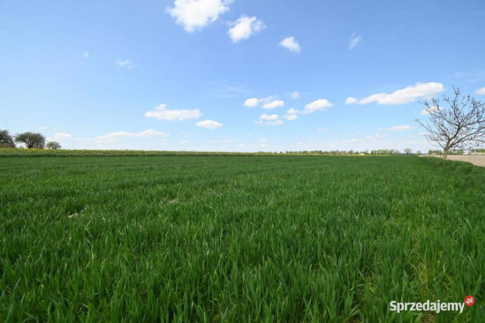 PODOLE Działka budowlana o powierzchni 134 arów sprzedam
