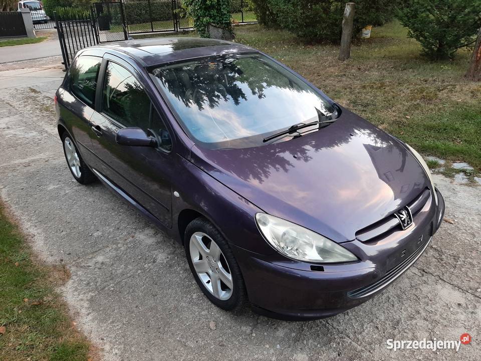 Peugeot 307 Sport S16 20 140 2002 Alu 17 Sprawny Nałęczów