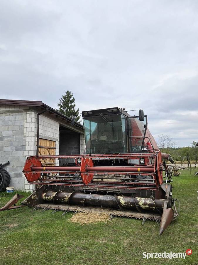 Massey Ferguson 29 6cyl Perkins nieuszkodzony Osieck sprzedam
