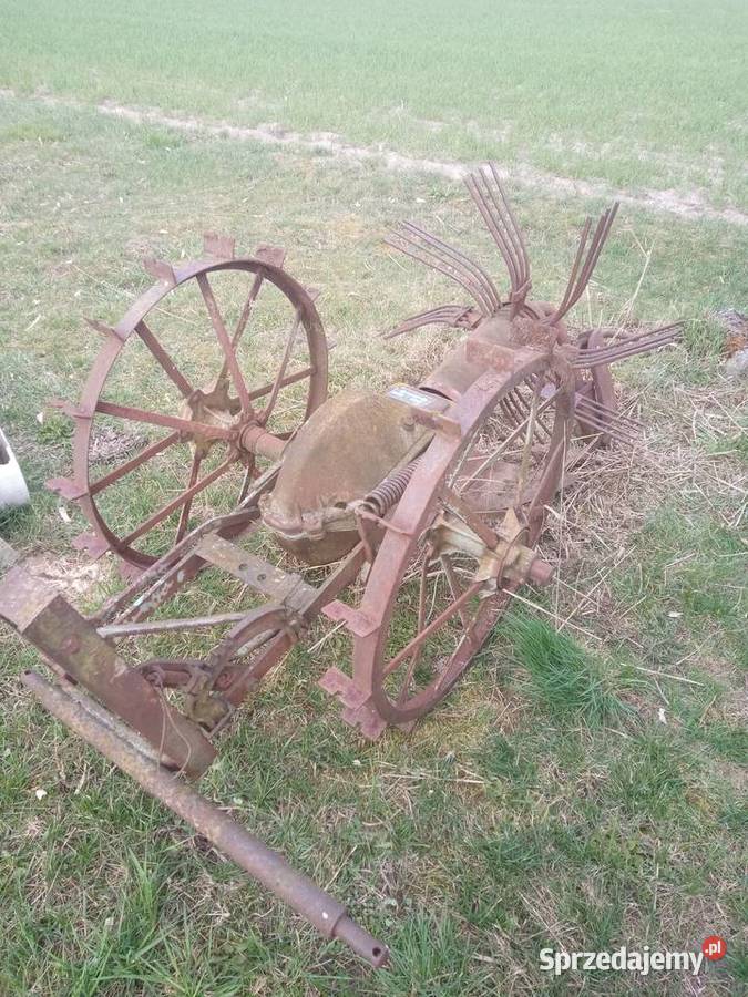 Kopaczka Kopaczki łódzkie Bełchatów