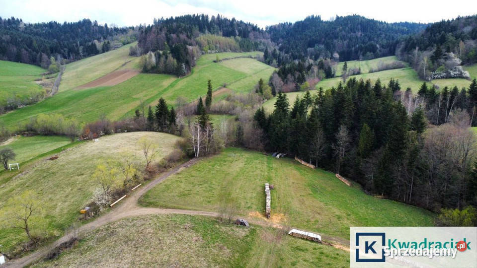 Grunt Zawóz 3100m2 sprzedam