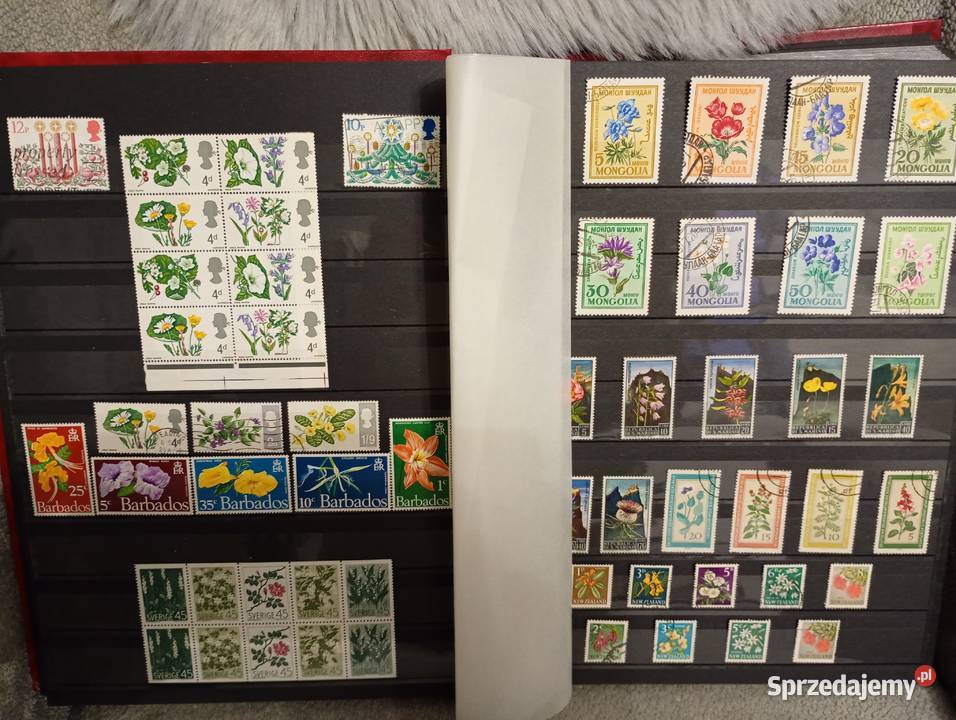 Duży album klaser ze starymi znaczkami Filatelistyka