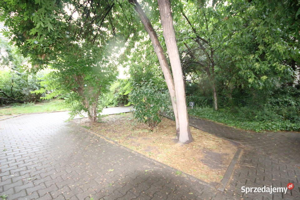 1pok 25met Oławskiej PIWNICA Wrocław dolnośląskie