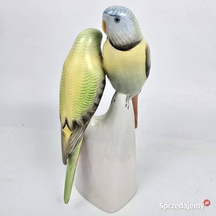 Papużki faliste zielone Hollohaza papugi Węgry mazowieckie Bronisze