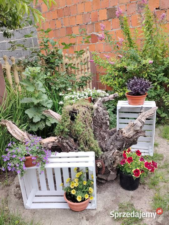 Drewniane Skrzynki Ozdobne na Kwiaty Kwietnik Blizanów Drugi