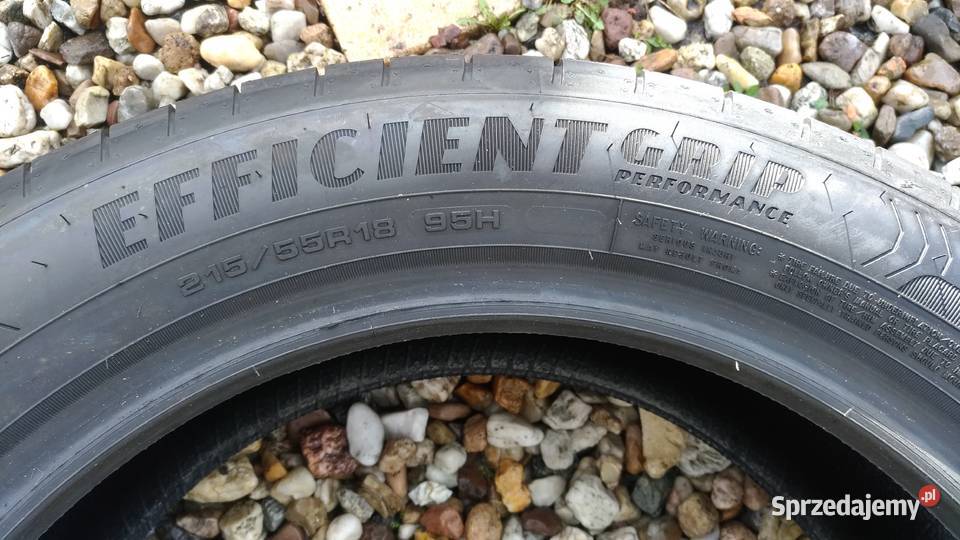 Goodyear EfficientGrip Performance 21555R18 95H Żagań