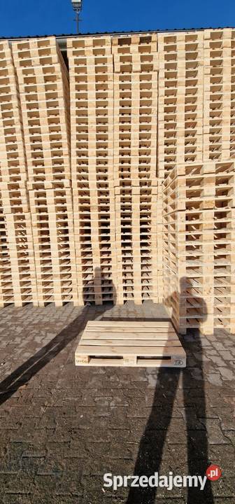 Palety Euro Paleta EPAL1 120x80 1200x800 gatunek Wrocław sprzedam