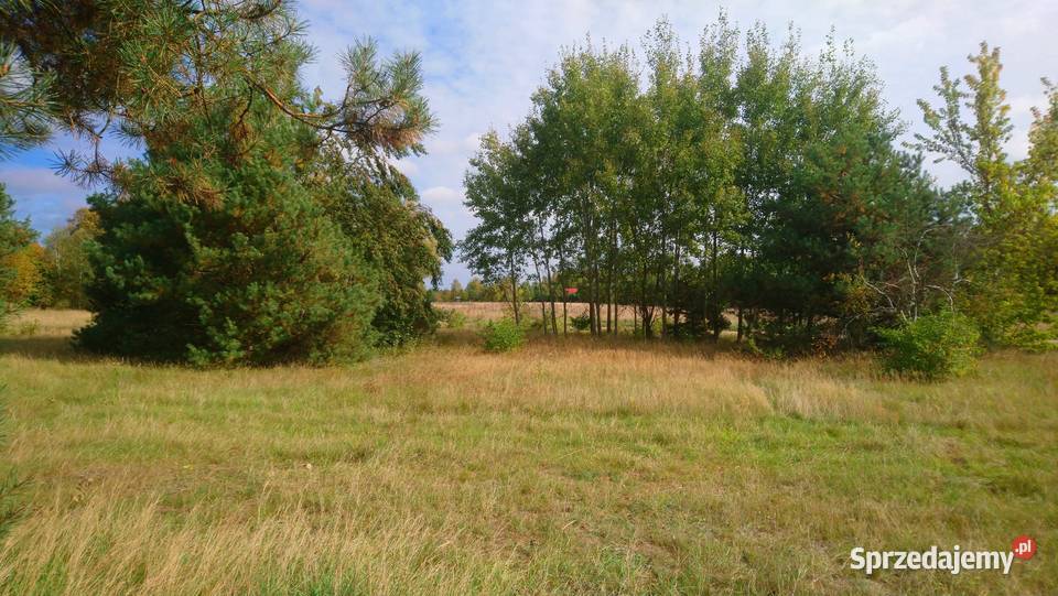 Sprzedam działkę budowlaną o pow 1055m2 z 1055m2 Popielżyn-Zawady