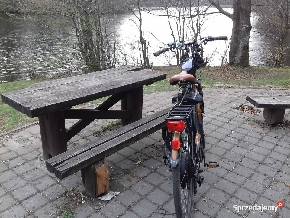 Rower elektryczny Ferrini Elektryczne Elbląg