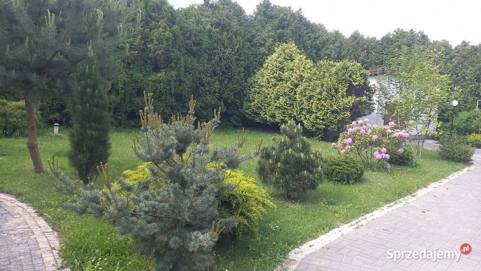 Dom 202 m z dużą działką 1960m Komfortprzestrzeń metalowe Rykały