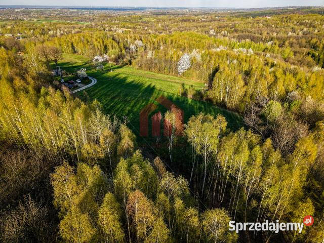 Grunt Kraczkowa 33000m2 380m Nieruchomości sprzedam