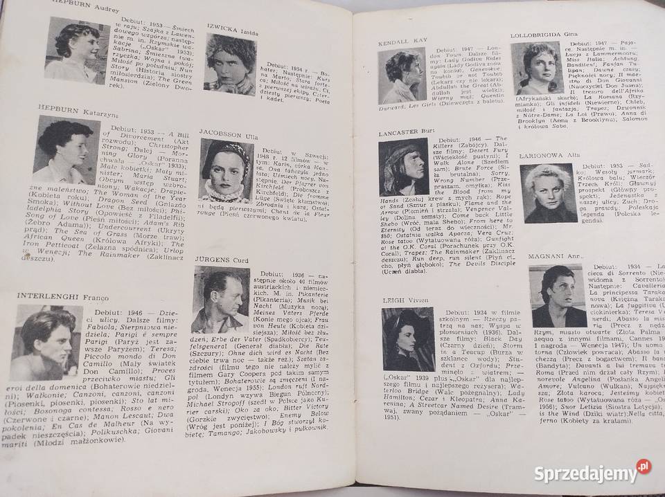 Gwiazdy ekranu fotografia, edycja zdjęć śląskie Żory sprzedam