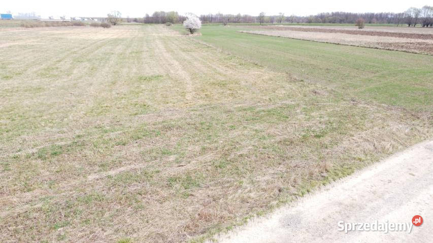 sprzedaży gruntu 5502m2 Krzeczów