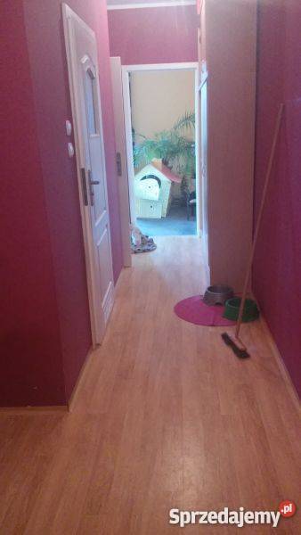 Odstapie mieszkanie TBS Wrocław Lesnica