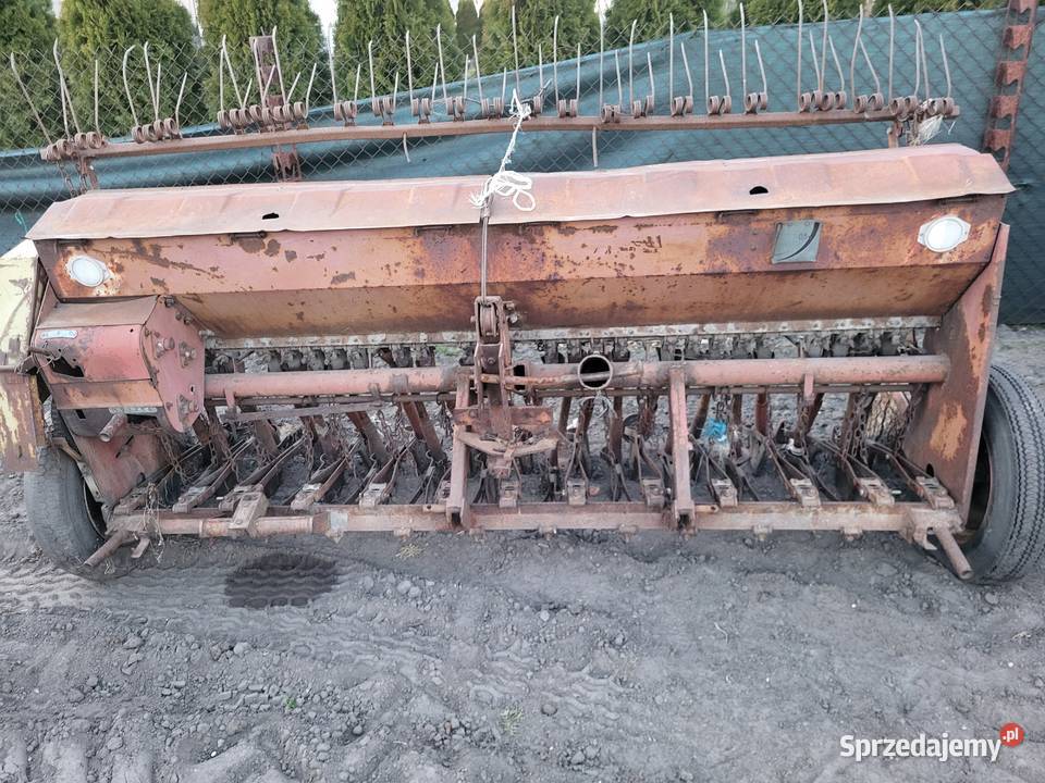 Siewnik poznaniak 2 sztuki mazowieckie Miedniewice