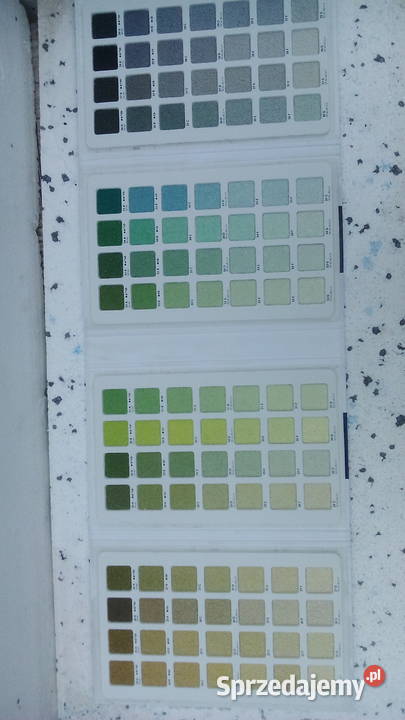 Tynk silikonowy BOLIX wiadro 35 Szczecin