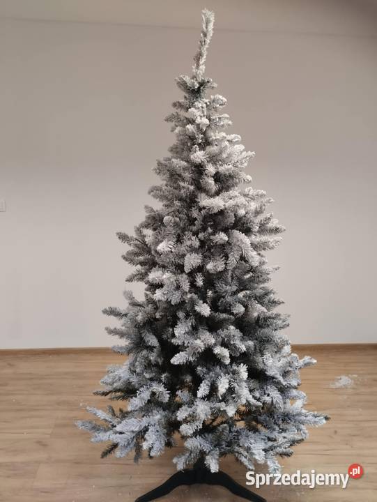 Choinka na święta dolnośląskie