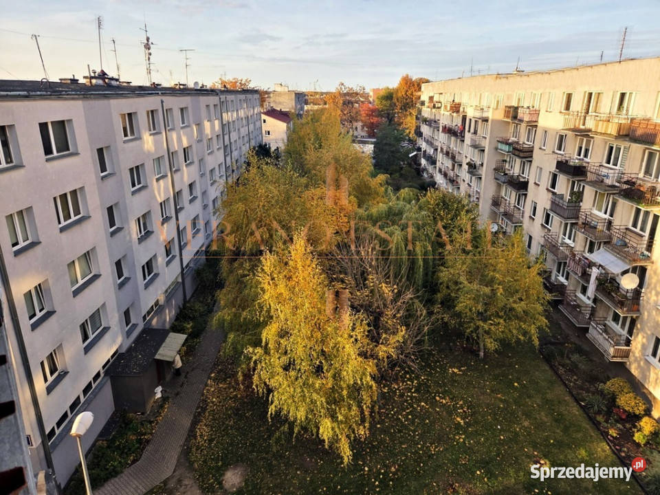 3 Pokoje 635m Centrum Świetna Inwestycja mazowieckie Grójec sprzedam