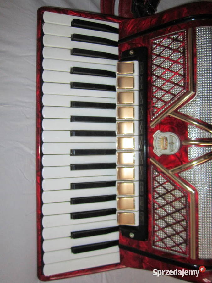 Akordeon Firotti Elegance 96 bas44 chóry Jaworzno