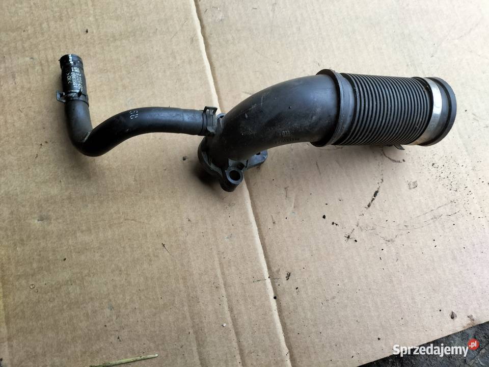 OPEL AGILA A 10 RURA DOLOT WĄŻ ODMY POWIETRZA Pozostałe