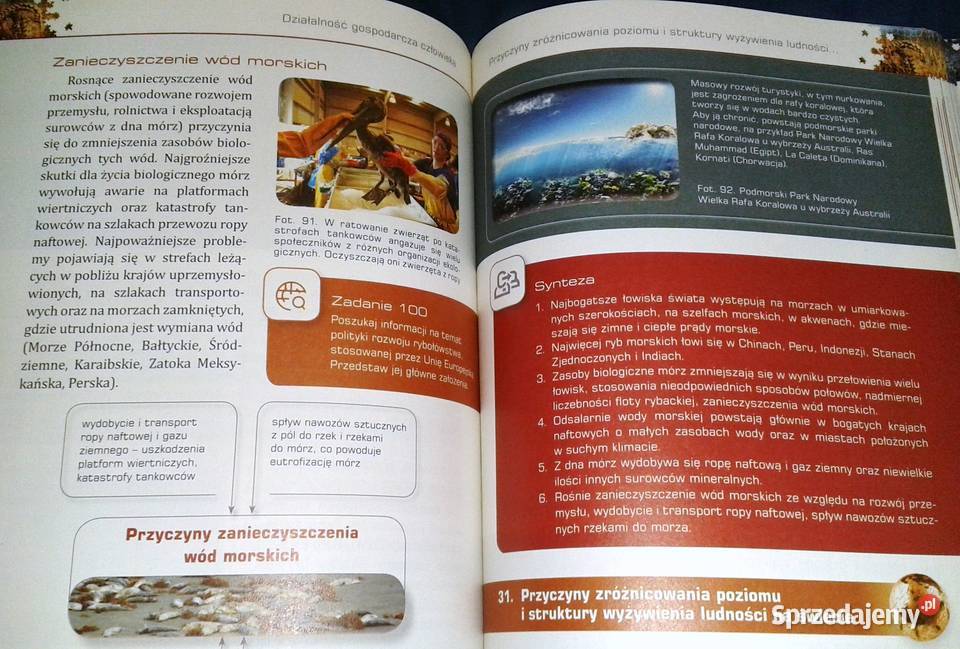 Geografia maturzysty Część 2 Podręcznik J Kop M Chełm sprzedam