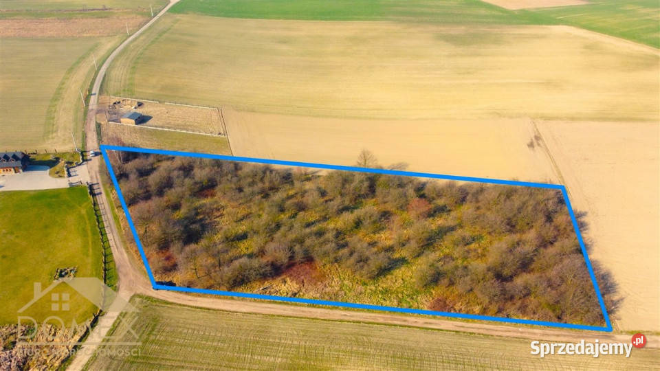 sprzedaży działki Czernica 7500m2