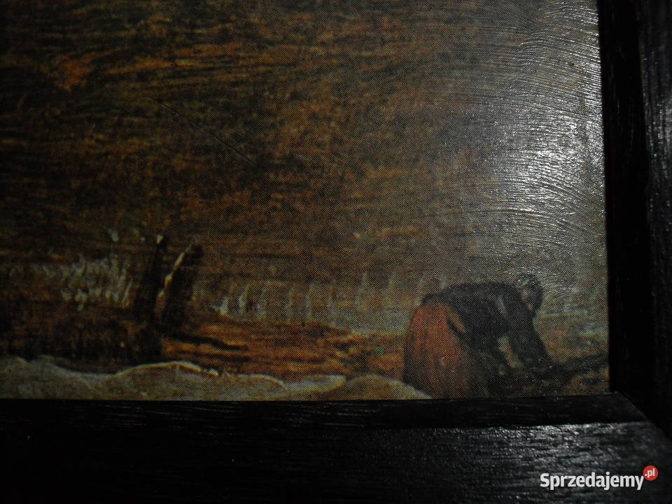 Obraz PEJZAŻ GÓRSKI Bielawa