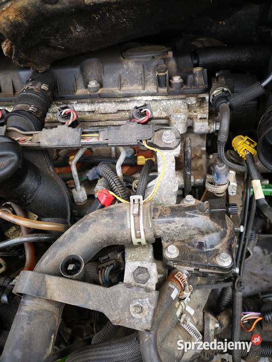 Silnik 20 HDI RHY 10DYSA Citroen Peugeot lubuskie Strzelce Krajeńskie