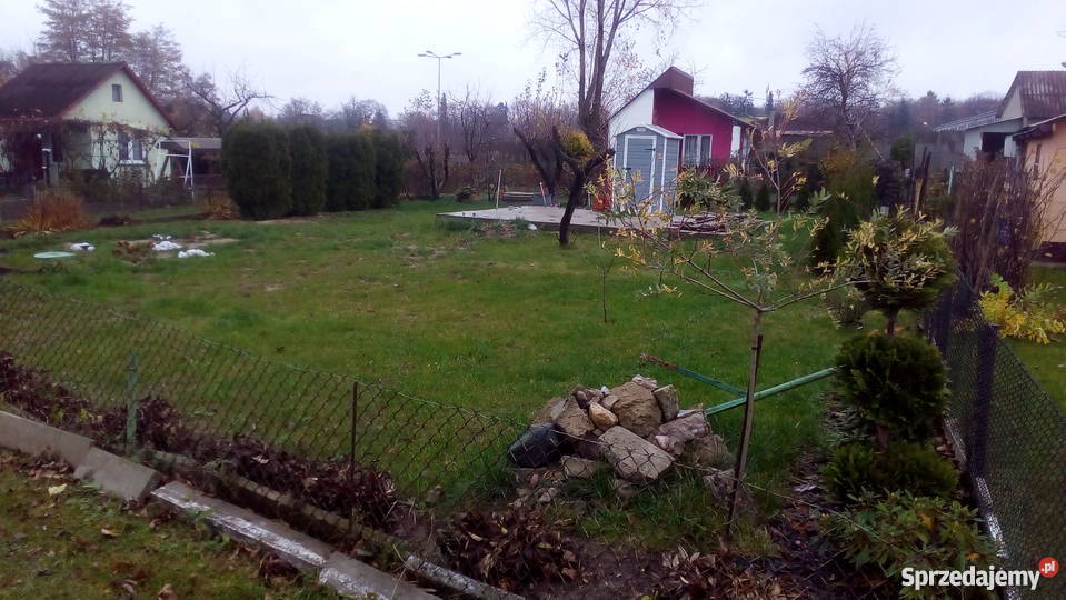 Działki Na Sprzedaż Piotrków Trybunalski Sprzedam ogródek działkowy na ogrodzie "Stokrotka" Piotrków Trybunalski