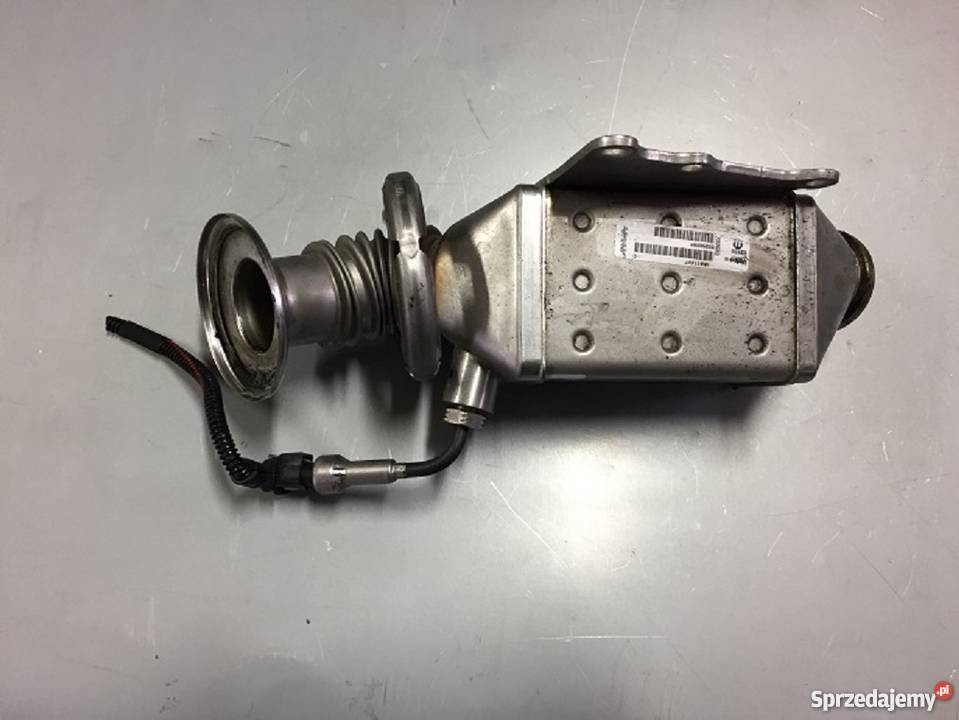 chłodnica EGR 55268284 jeep alfa fiat 20 MJET osobowe Jelcz-Laskowice