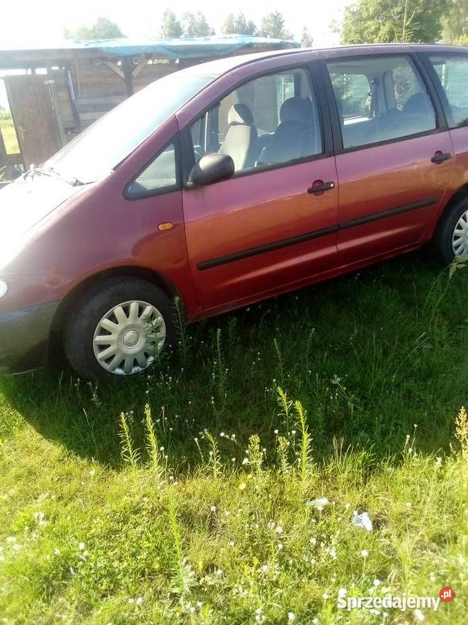 Swat Alhambra cało jako dawca Mrocza