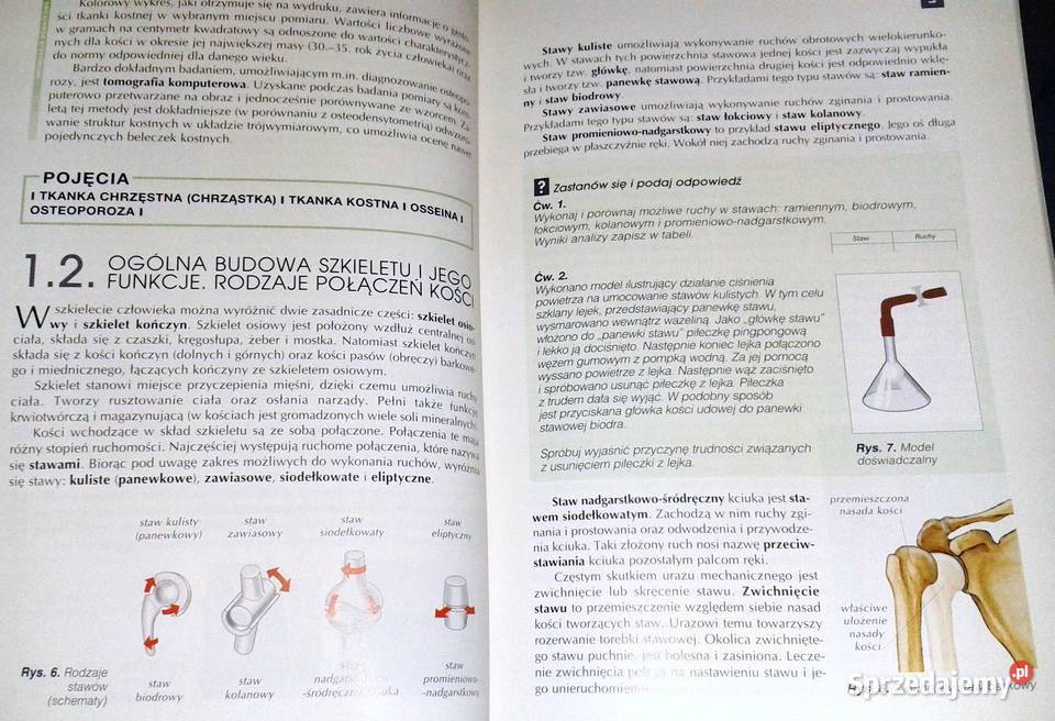 Biologia 2 A Kornaś M Kłyś LŚliwa R Konieczny Chełm