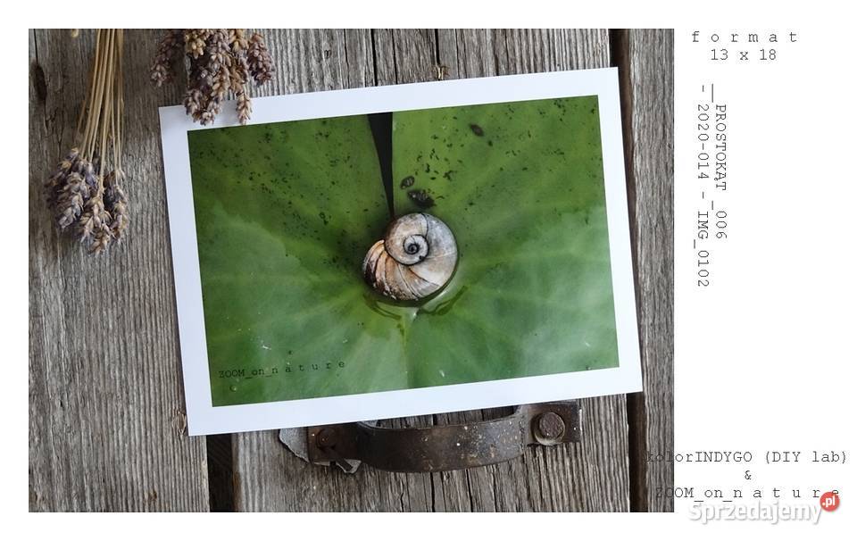 ZDJĘCIA przyrodnicze czII lubuskie