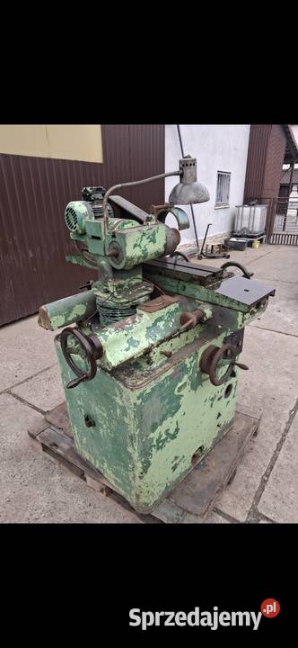 Cyrkularka oszczałka Pszczyna