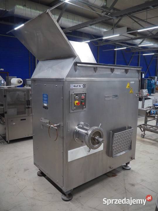 Krmer Grebe SCWW Wilk masarski Krotoszyn