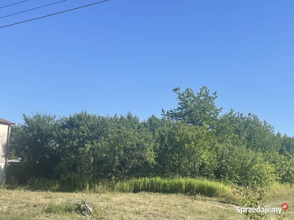 Działka Rolno Budowlana 17 ha woda prąd Sprzedaż Niwa