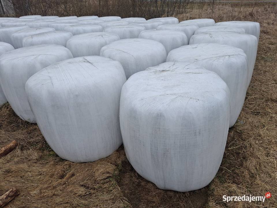 Kiszonka i sianokiszonka Trawy, słoma Spytkowice