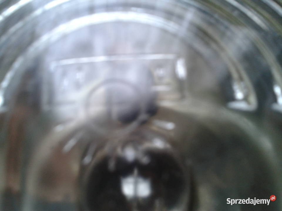 WFM SHL lampa przednia