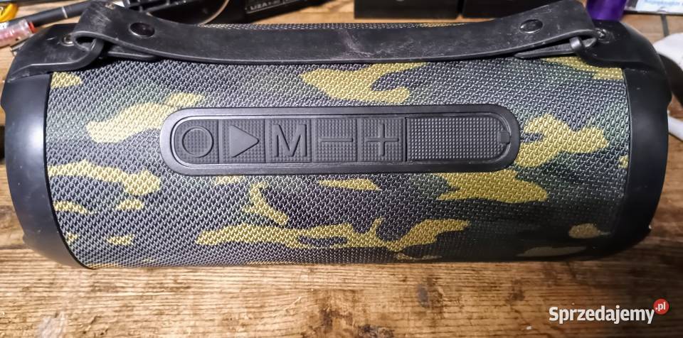 Obudowa głośnika wielkopolskie Wągrowiec