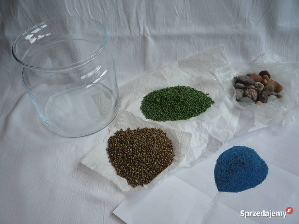 Ogród Las w szkle w słoiku